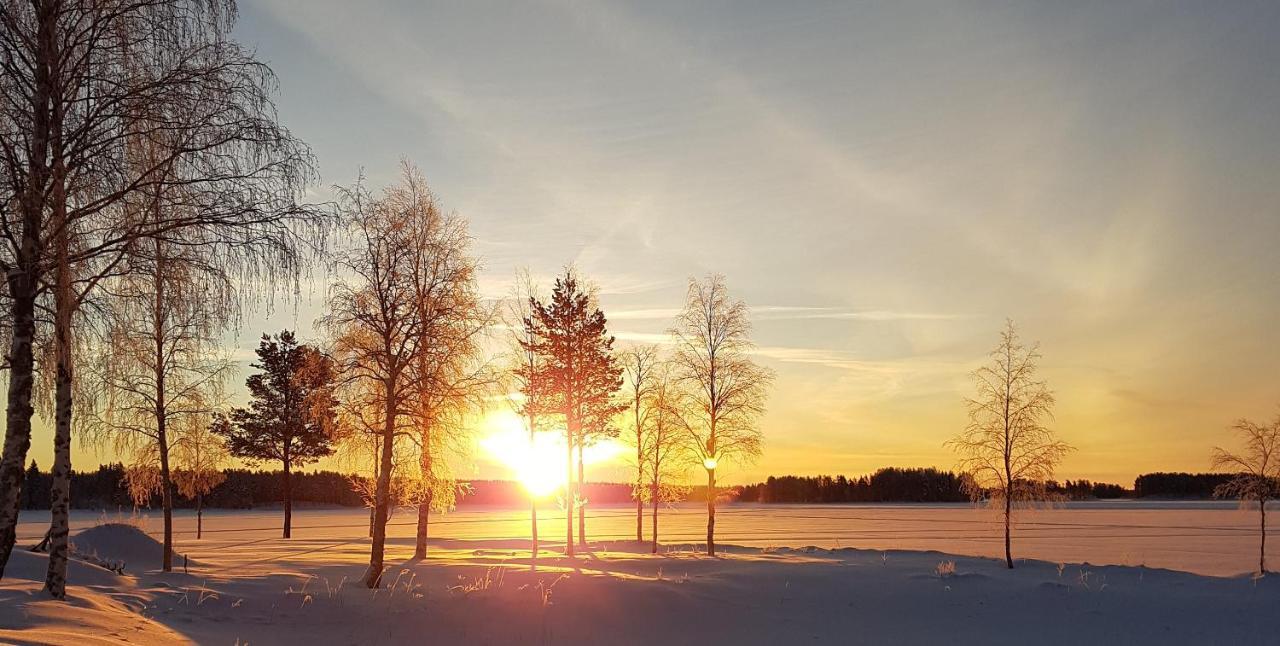 Bed and Breakfast Horrmundsgarden I Saelen Horrmunden Екстер'єр фото