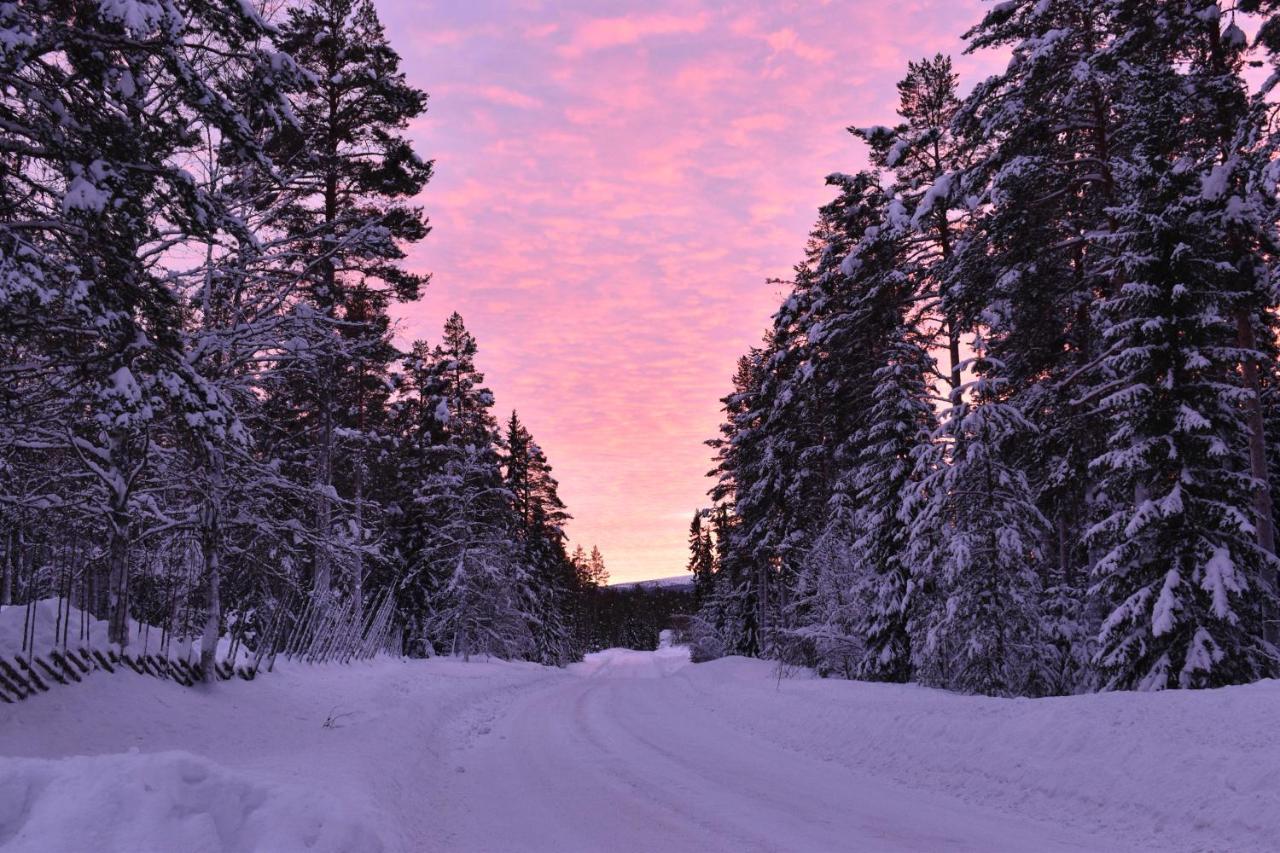 Bed and Breakfast Horrmundsgarden I Saelen Horrmunden Екстер'єр фото