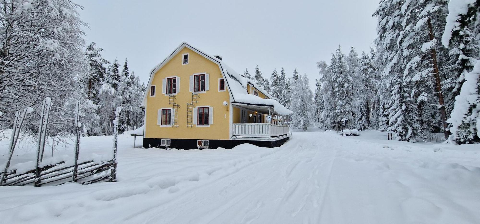 Bed and Breakfast Horrmundsgarden I Saelen Horrmunden Екстер'єр фото